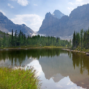 惩罚往屁股里夹20根棉签动漫

