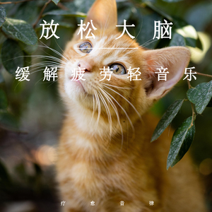 惩罚往屁股里夹20根棉签动漫
